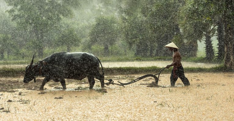 বৈশাখী বার্তা : নবী হোসেন নবীন